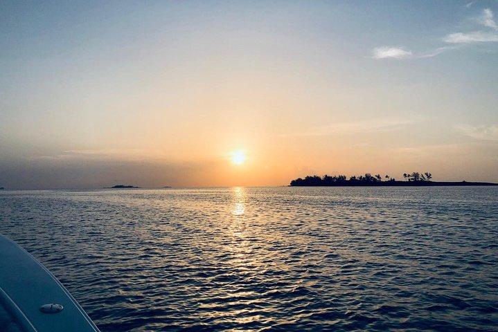Bluefinn242 Nade com as tartarugas em Nassau Bahamas