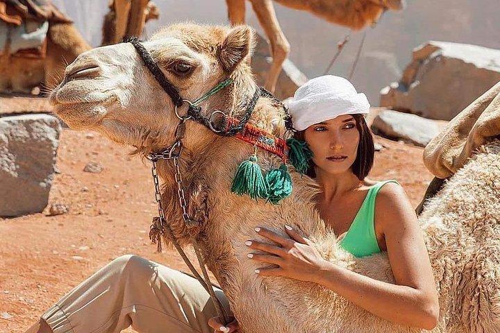 Joyful Roads: Dead sea - Petra