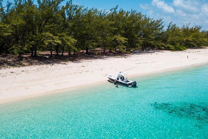 Bluefinn242 Nade com as tartarugas em Nassau Bahamas
