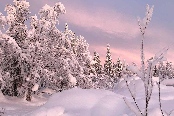 Tour de motos de nieve por la tarde