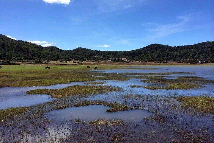 麗江半日サービスから温海湖へのプライベートトレッキングツアー
