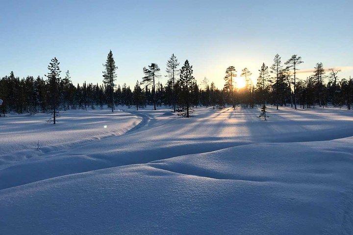 Tour de motos de nieve por la tarde