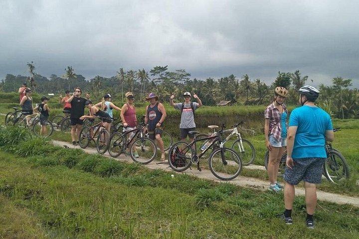 Excursão Kintamani Downhill