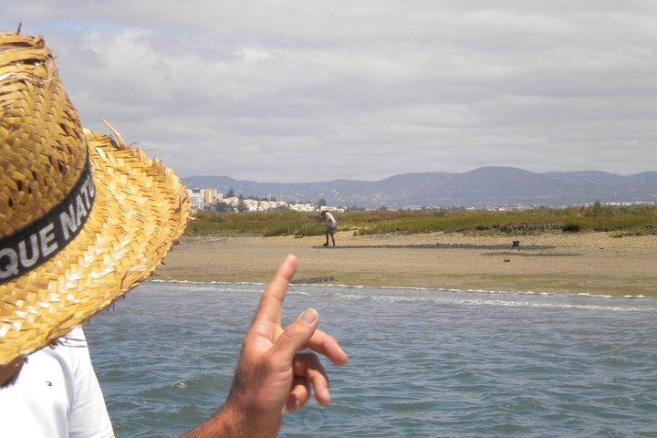 Passeio Guiado de Barco de 2 horas para Birdwatching na Ria Formosa desde Faro Algarve