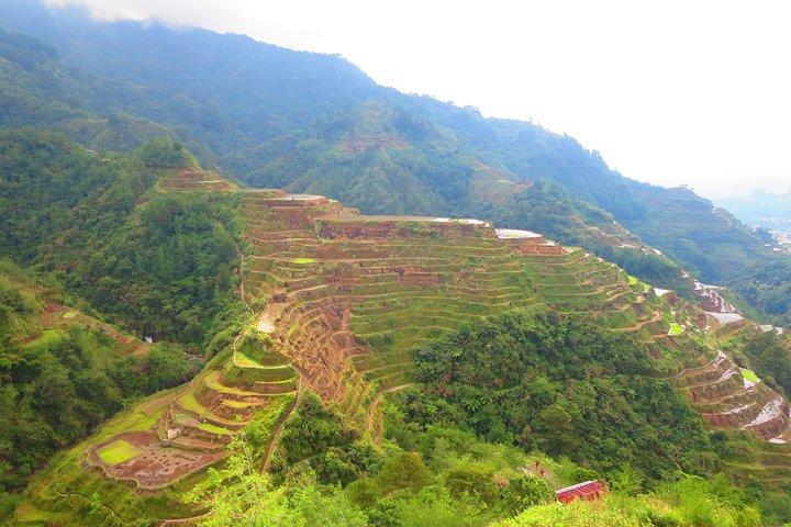 Banaue Rice Terraces Escape: 3 dagar, 2 nätter med överföringar