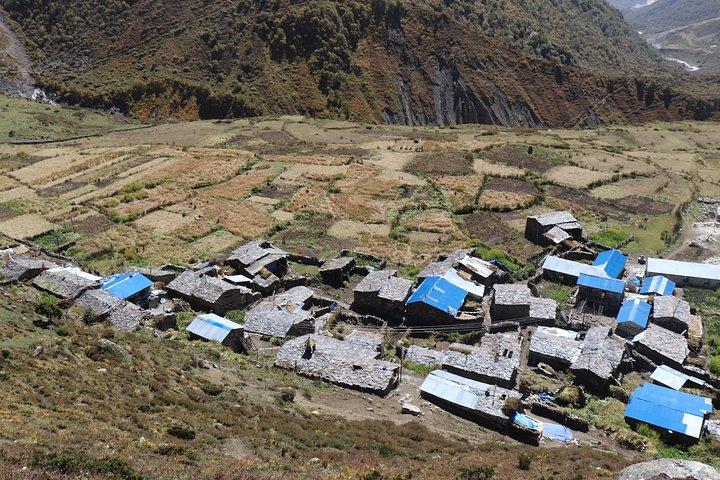 Annapurna Base Camp Trek (8 Tage)