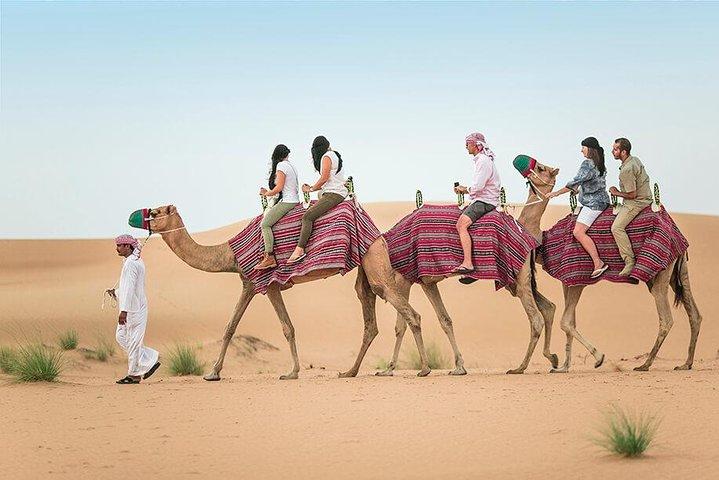 Camel Trekking Dubai with Morning Dune Bashing and Sand Boarding