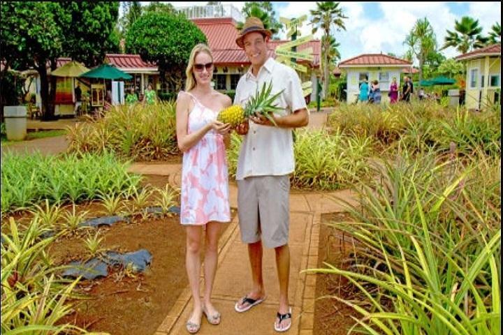 Pearl Harbor, Dole Plantation, Polynesisch centrum van Waikiki