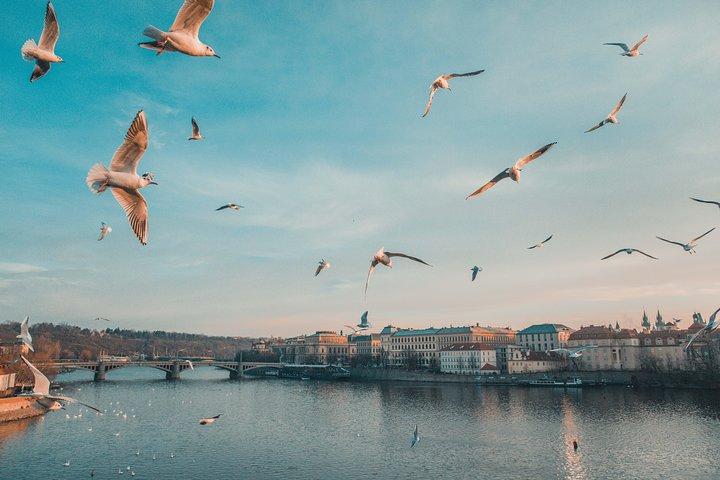 Transfert panoramique privé de Salzbourg à Prague avec 4h de visites