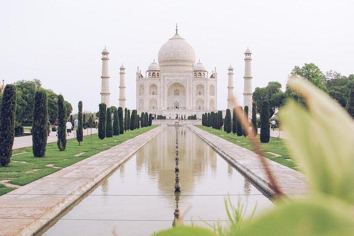 Privat Taj Mahal & Agra samma dagstur från Delhi