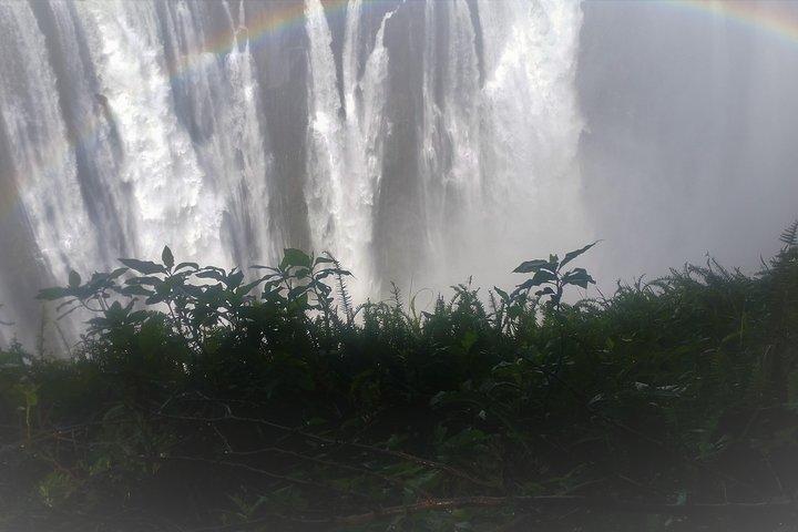 Cascate Vittoria E Chobe