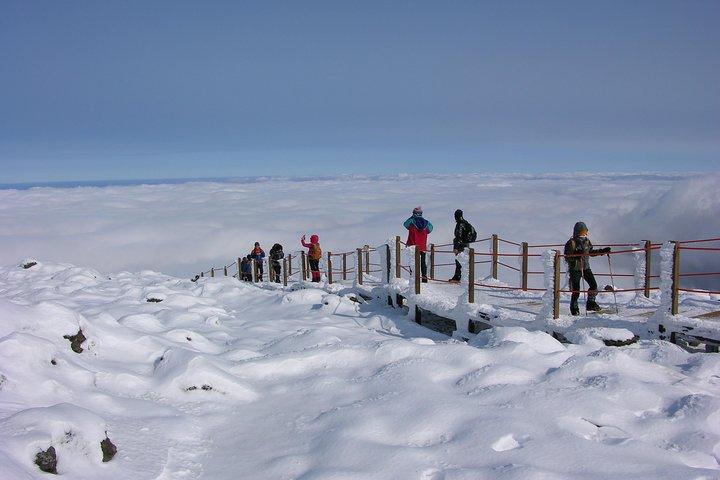 Anpassad privat JEJU vandringstur i 7 dagar (Mt. Hallasan och Olle Course)