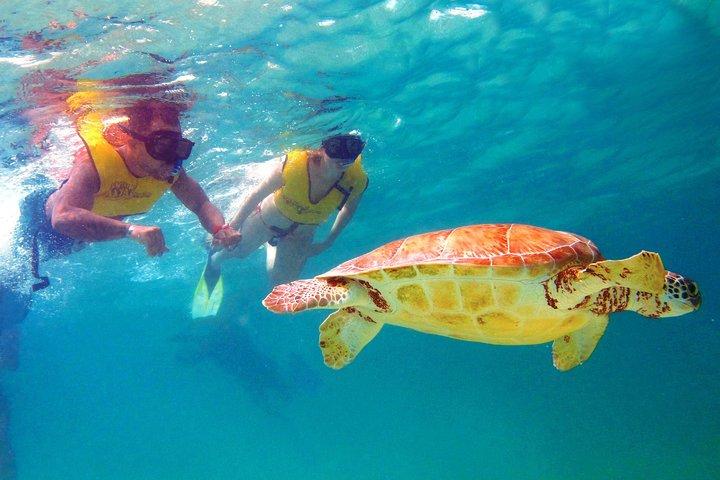 Cancun Ultimate Adventure: cuatrimotos, snorkel y tirolesas