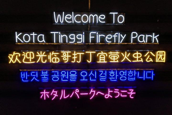 Visite des lucioles Johor Bahru @ Kota Tinggi Firefly Park