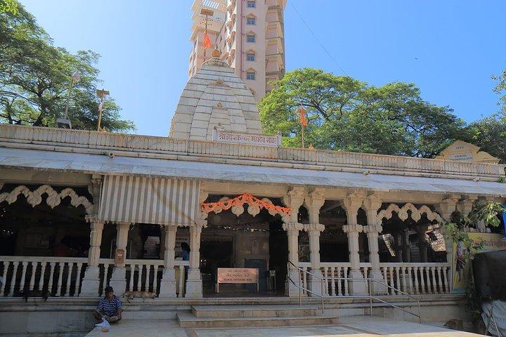 Halbtagestour durch Mumbai City