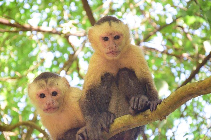 1 dia - parque tayrona, comunidade kogui e praia el cabo.