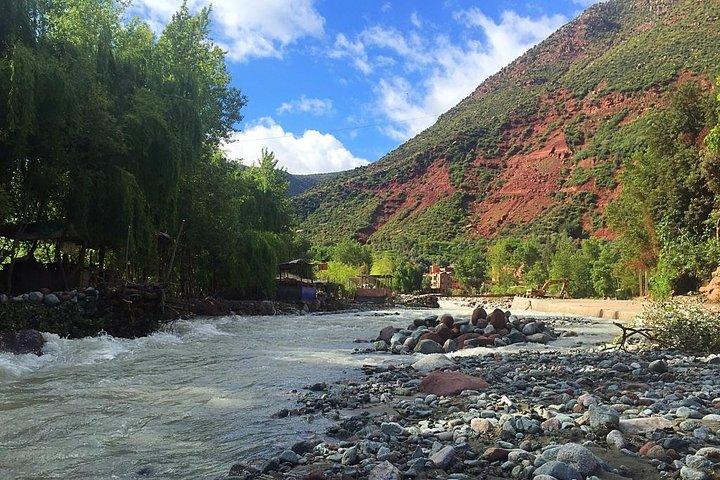 Marrakech: Tur i Agafay-öknen och Atlasbergen med kameltur