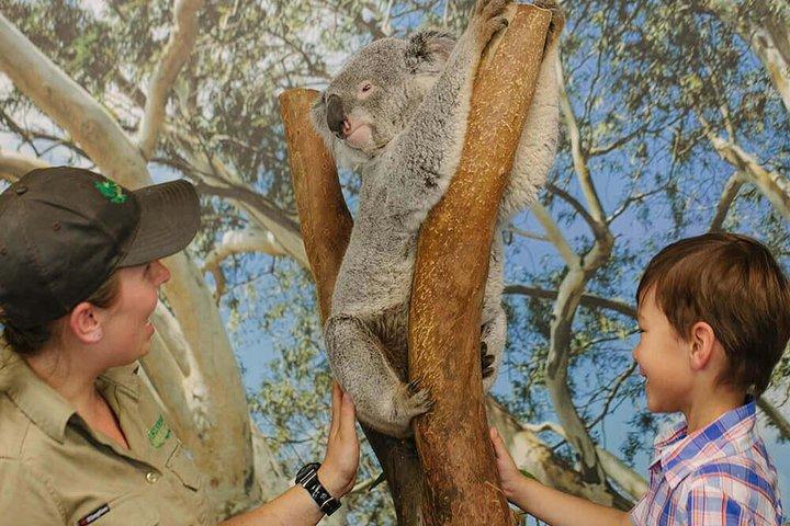 Privat Blue Mountains High Country Day Trip från Sydney