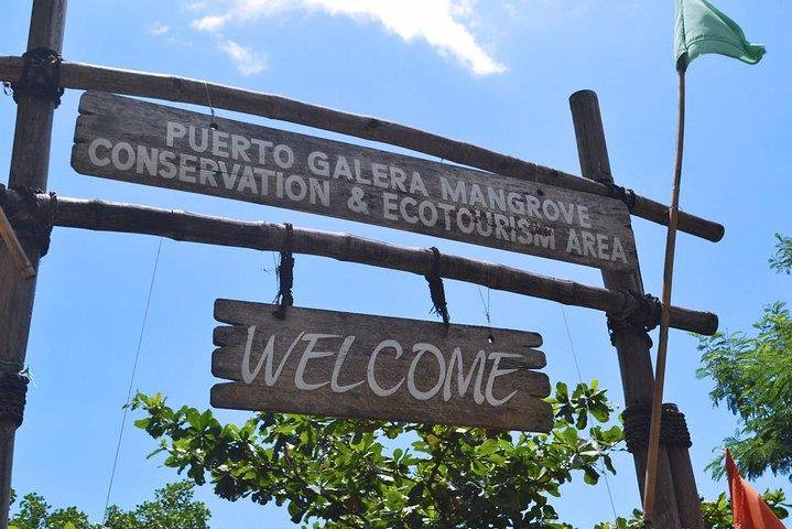 Actividades de Snorkel en Puerto Galera