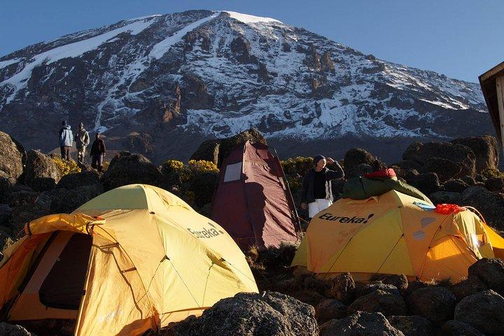 Kilimanjaro-lemosho-rute 8-dages rejseplan