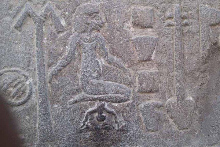 Discover Kom Ombo & Edfu Temples on a Private Day Trip from Aswan