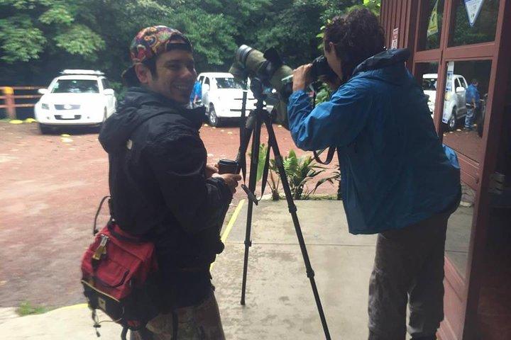 Monteverde Birdwatching e tour della fauna selvatica