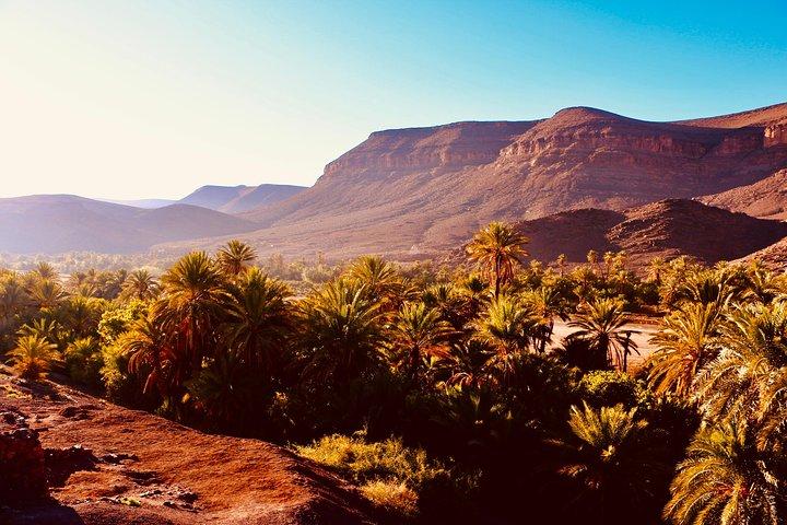 Privat helårs tur af Ouarzazate og Oasis Fint