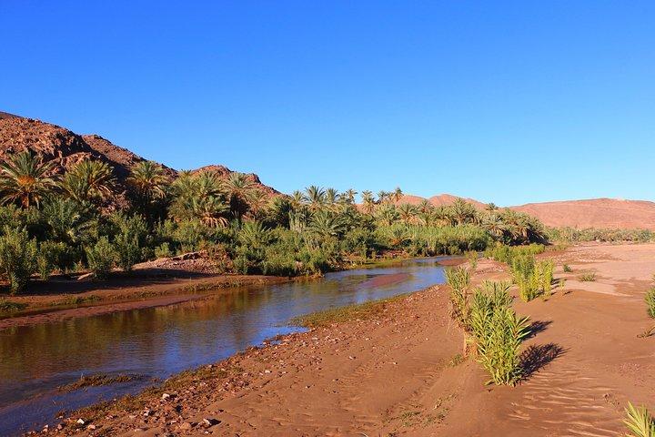 Privat helårs tur af Ouarzazate og Oasis Fint