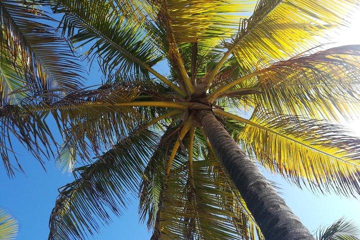 Saint Lucia Beach Retour Transfer Cruiseschip Passagiers Gratis drankje