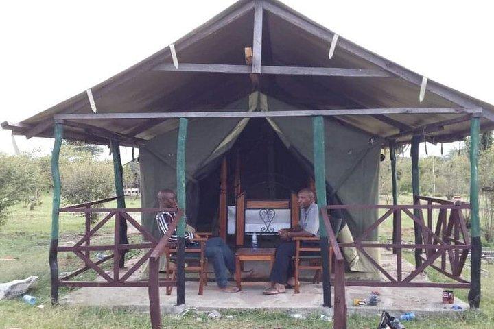 3 dagar Masai Mara Budget Camping Safari Experience