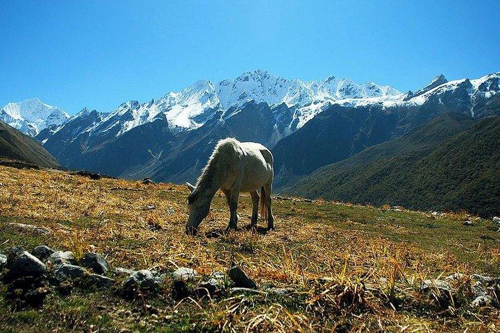 Langtang Valley Trekking