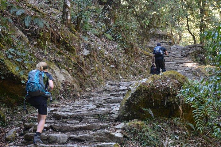 Annapurna Poonhill Trek