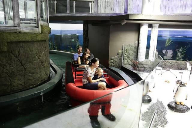 Theme Parks