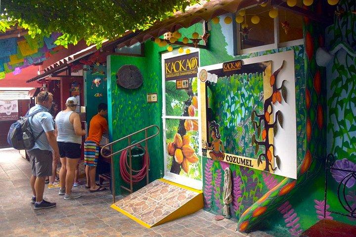 Cozumel Shore Excursion: 5-Hour Sightseeing Tour with Private Driver
