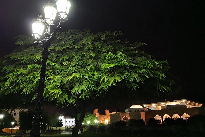 Avond Muscat met Sunset Dhow cruise