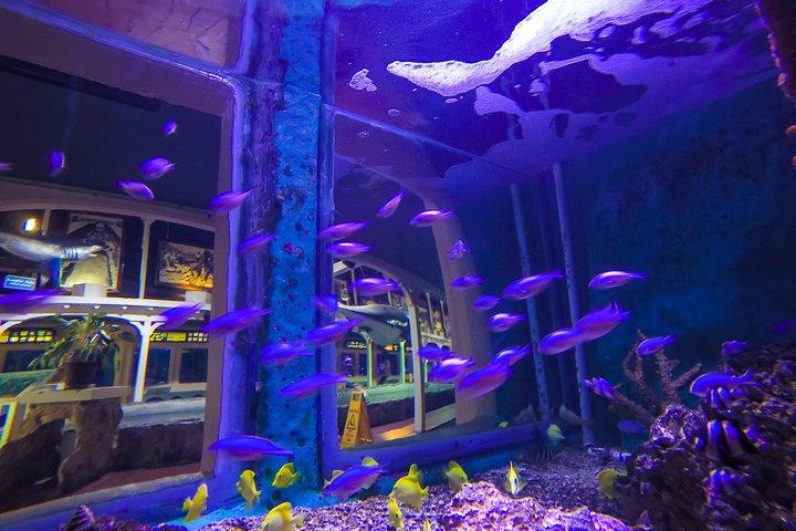 Entrée à l'aquarium de Key West