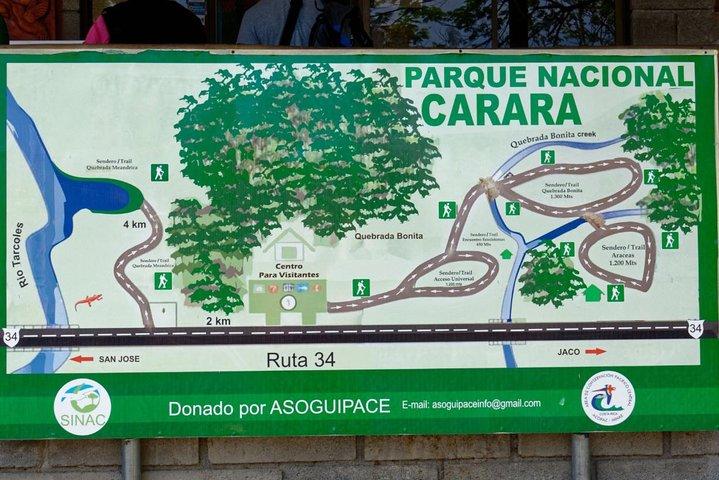 カララ国立公園のバードウォッチング プライベート ガイド ツアー体験。