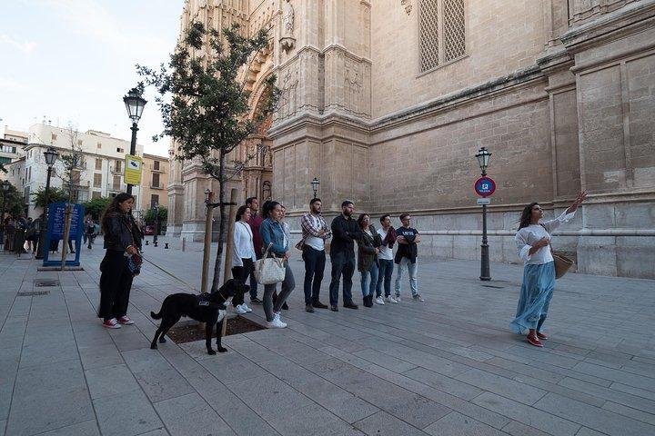 Visite privée à pied à Palma de Majorque avec des guides locaux.