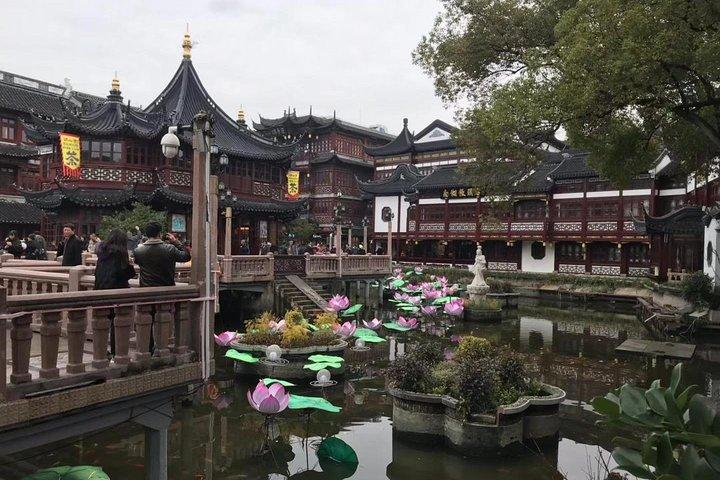 Tour privato di mezza giornata a Shanghai con stile di vita locale incluso Yu Garden