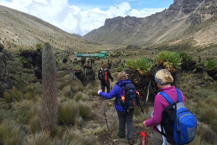 Mt Kenya Day Trip Hike From Nairobi (Cost Based on Minimum 2 persons)
