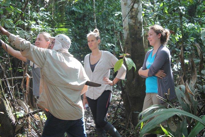 Amazon Paradise Pacaya Samiria National Reserve 5 dagar 4 nätter