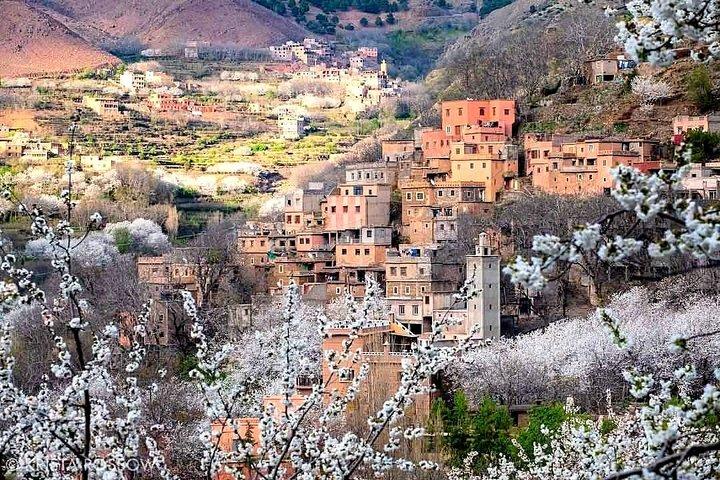 Atlas Mountains and Three Valleys & Waterfalls: Guided Day Trip from Marrakech