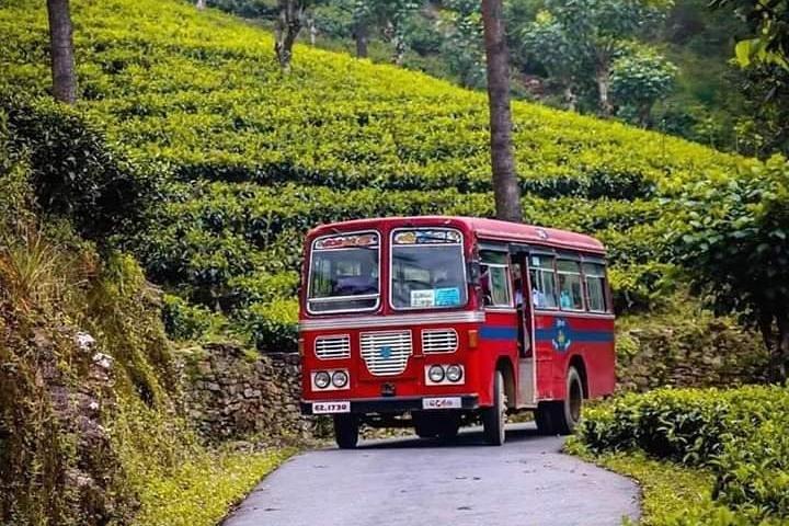 Private Sri Lanka Tea Center and Factory tour