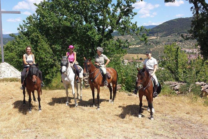 Estateでのプライベートトスカーナ乗馬、ワインテイスティング、地元料理