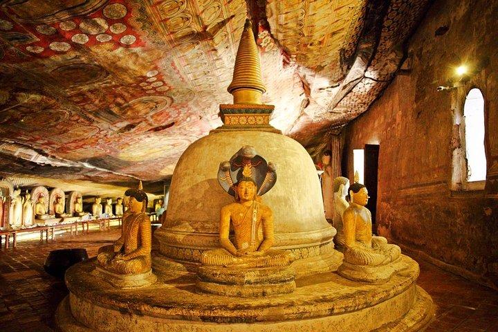 Excursion privée d'une journée à Sigiriya avec un chauffeur amical