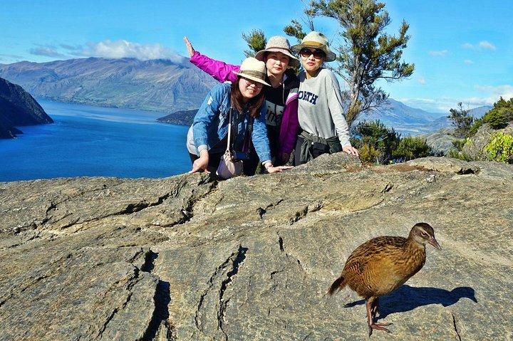 Mou Waho Island Cruise and Guided Nature Walk