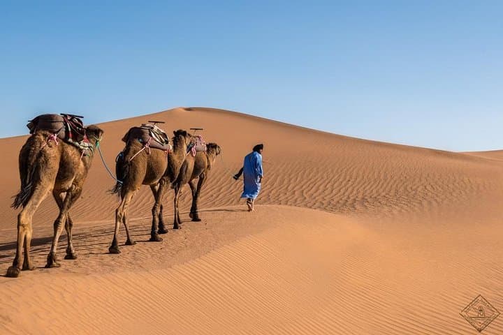 3 Day Luxury Tour: Sahara desert & luxury camp from Marrakech
