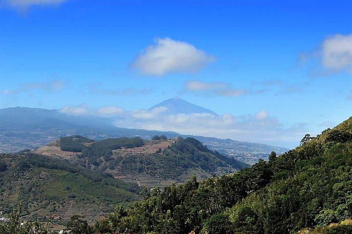 Incroyable Anaga : Randonnée en petit groupe (12km) à Tenerife