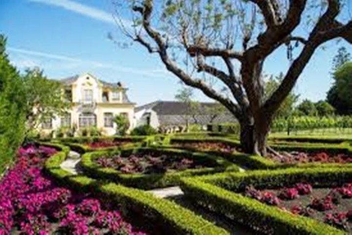 Setúbal Private Full Day Wine Tour med smag og frokost på stranden
