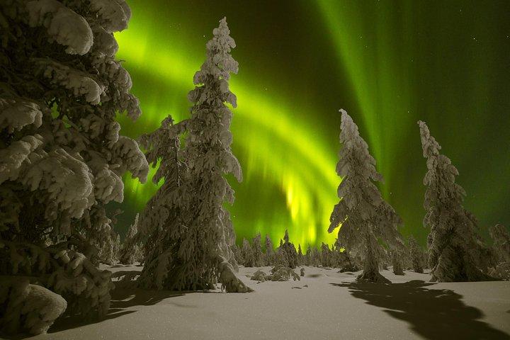 Northern Lights Picnic met de auto vanuit Rovaniemi